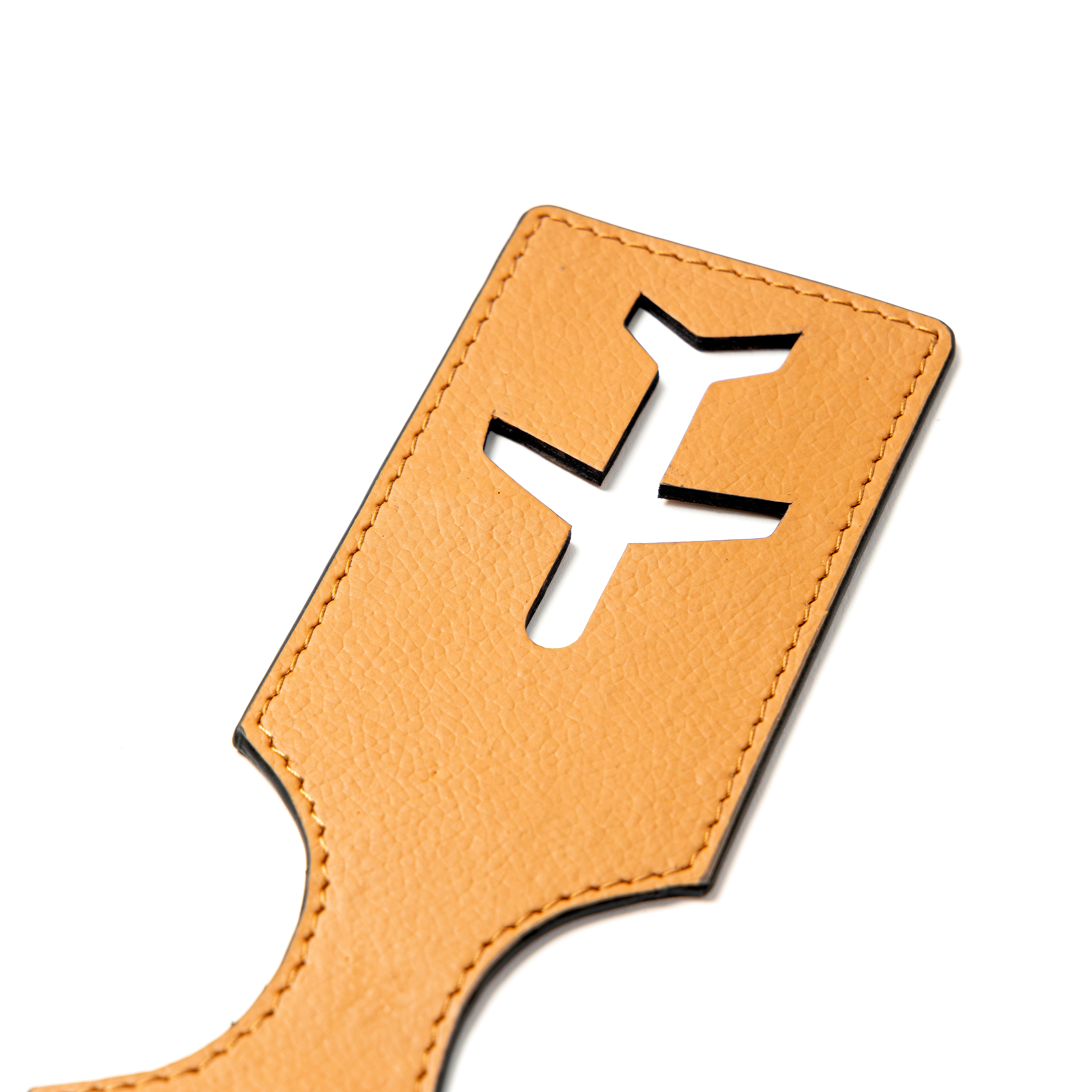 Travel Tag aeroplane