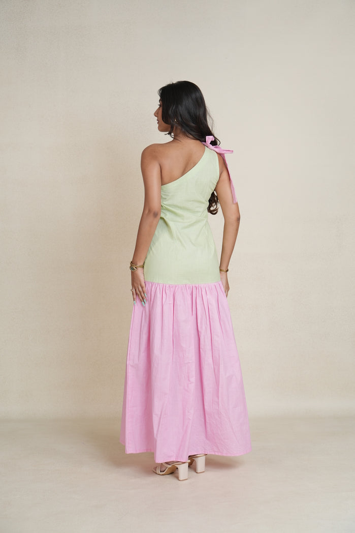 Baby Pink and Lemon Green Cotton Poplin Dali Dress