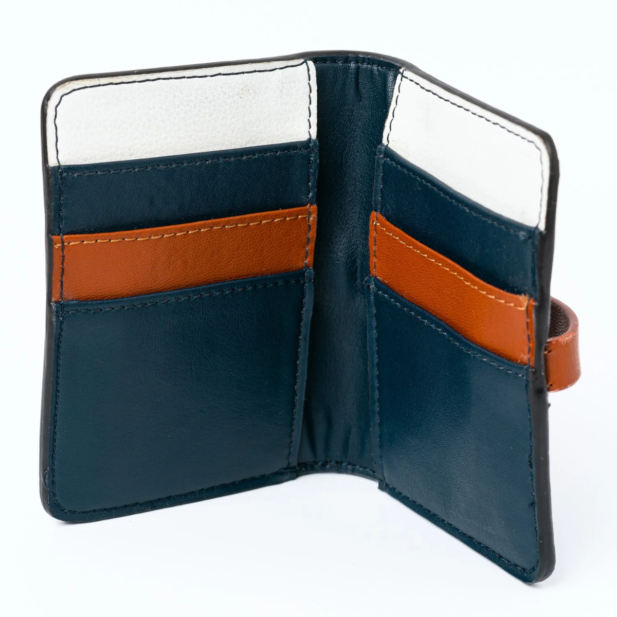Neith Blue and tan cardholder
