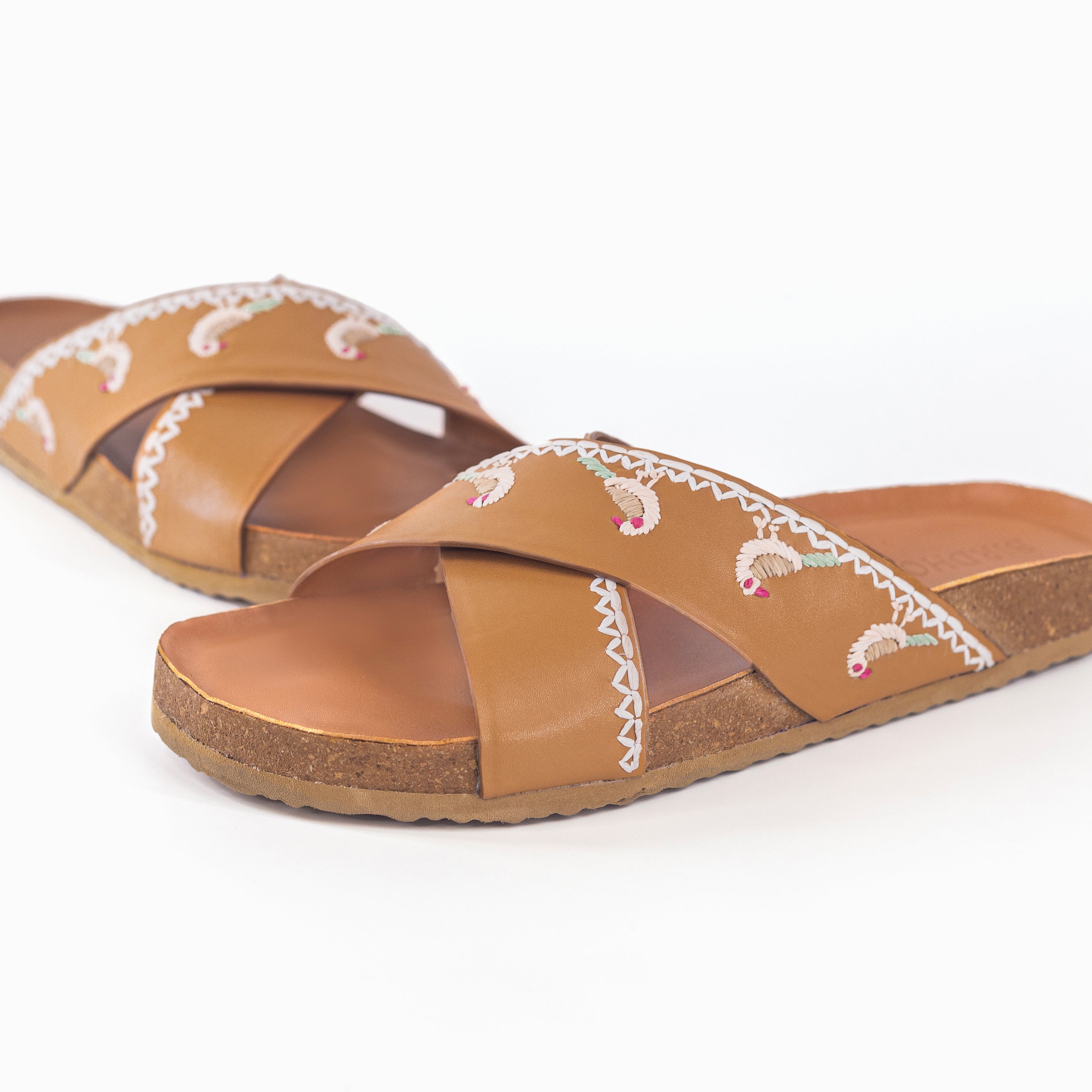 Tan 5 Tota slides