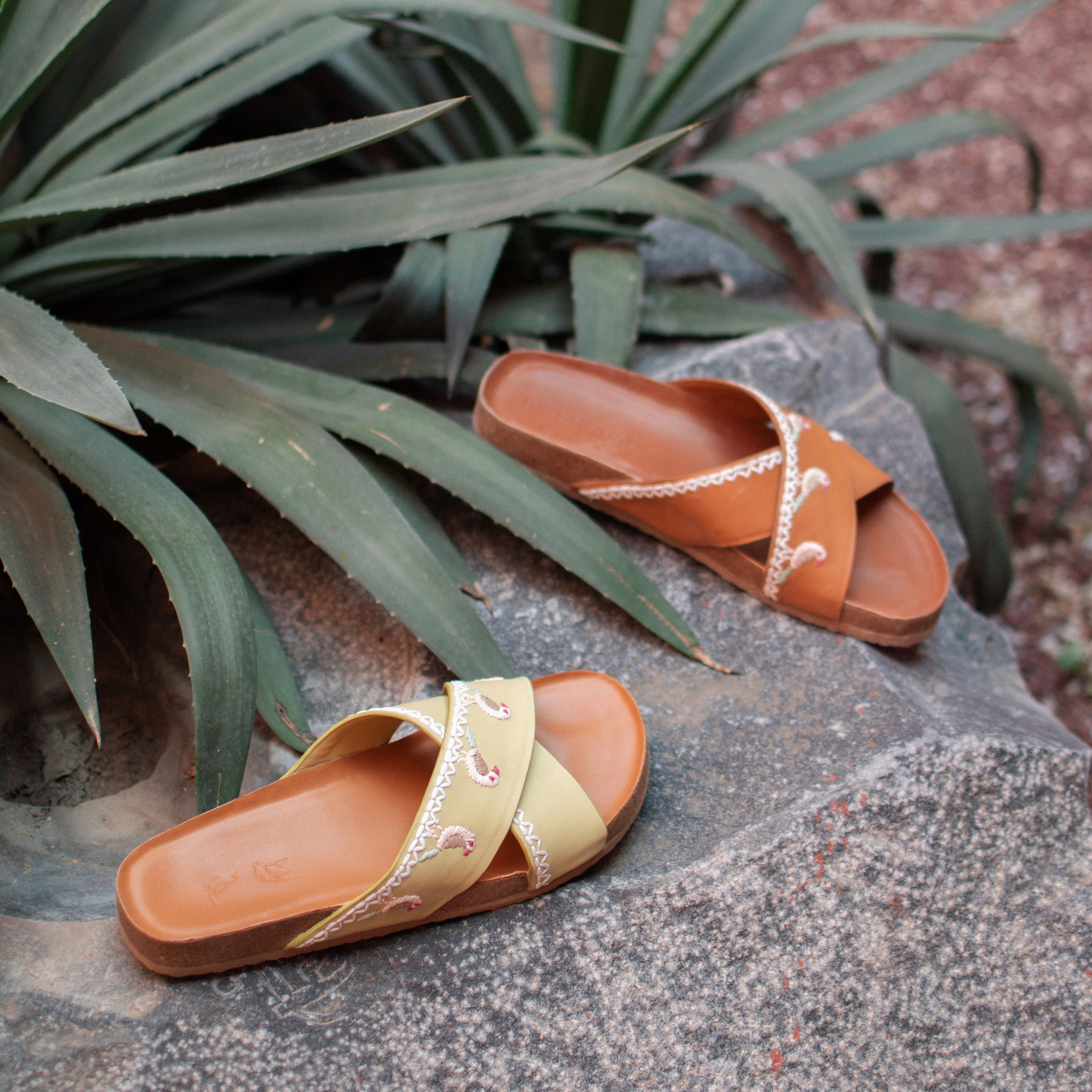 Mellow yellow 5 Tota slides