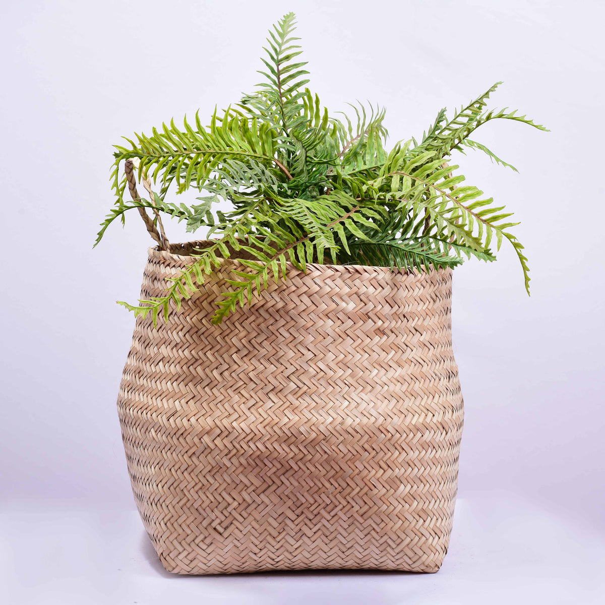 Handwoven Biodegradable Planter
